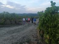 ALLENAMENTI DI NORDIC WALKING