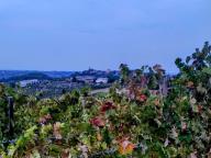 ALLENAMENTO DI NORDIC WALKING