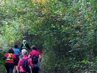 ALLENAMENTI DI NORDIC WALKING