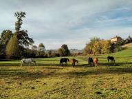 ALLENAMENTO DI NORDIC WALKING