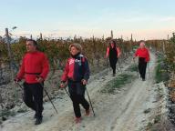 ALLENAMENTO DI NORDIC WALKING