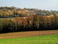 ALLENAMENTO DI NORDIC WALKING