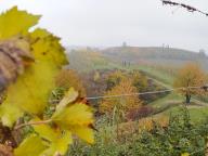 ALLENAMENTI DI NORDIC WALKING