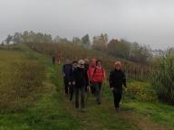 ALLENAMENTI DI NORDIC WALKING