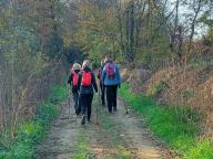 ALLENAMENTI DI NORDIC WALKING