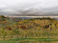ALLENAMENTI DI NORDIC WALKING