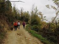 ALLENAMENTI DI NORDIC WALKING