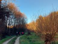 ALLENAMENTI DI NORDIC WALKING