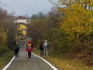 ALLENAMENTI DI NORDIC WALKING