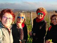 ALLENAMENTI DI NORDIC WALKING