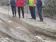 ALLENAMENTI DI NORDIC WALKING