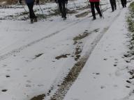 ALLENAMENTI DI NORDIC WALKING