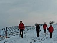 ALLENAMENTI DI NORDIC WALKING