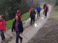 ALLENAMENTI DI NORDIC WALKING