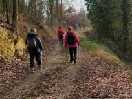 ALLENAMENTI DI NORDIC WALKING