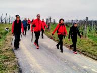 ALLENAMENTO DI NORDIC WALKING