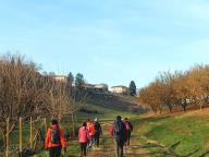 ALLENAMENTI DI NORDIC WALKING