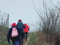 ALLENAMENTI DI NORDIC WALKING