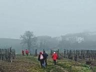 ALLENAMENTI DI NORDIC WALKING