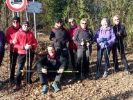 ALLENAMENTI DI NORDIC WALKING