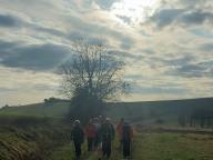 ALLENAMENTI DI NORDIC WALKING