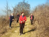 ALLENAMENTI DI NORDIC WALKING