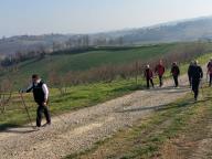 ALLENAMENTI DI NORDIC WALKING