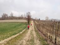 ALLENAMENTI DI NORDIC WALKING