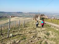 ALLENAMENTI DI NORDIC WALKING