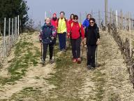 ALLENAMENTI DI NORDIC WALKING