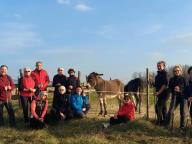 ALLENAMENTI DI NORDIC WALKING