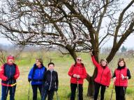 ALLENAMENTI DI NORDIC WALKING