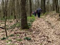 ALLENAMENTO DI NORDIC WALKING