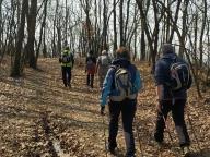 ALLENAMENTO DI NORDIC WALKING