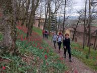 ALLENAMENTO DI NORDIC WALKING