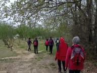 ALLENAMENTO DI NORDIC WALKING