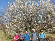 ALLENAMENTO DI NORDIC WALKING