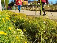 ALLENAMENTO DI NORDIC WALKING