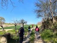 ALLENAMENTO DI NORDIC WALKING