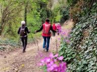 ALLENAMENTO DI NORDIC WALKING