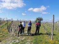 ALLENAMENTO DI NORDIC WALKING