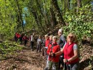 ALLENAMENTO DI NORDIC WALKING