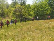ALLENAMENTO DI NORDIC WALKING