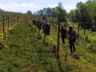 ALLENAMENTI DI NORDIC WALKING