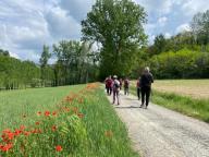 ALLENAMENTO DI NORDIC WALKING