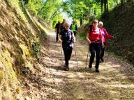 ALLENAMENTO DI NORDIC WALKING