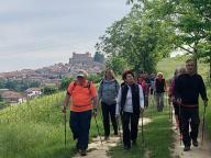 ALLENAMENTO DI NORDIC WALKING