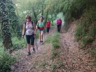 ALLENAMENTO DI NORDIC WALKING