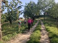 ALLENAMENTO DI NORDIC WALKING