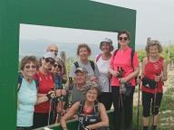 ALLENAMENTO DI NORDIC WALKING